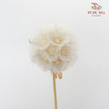 Preservative Scabiosa White - Pudu Ria Florist Southern