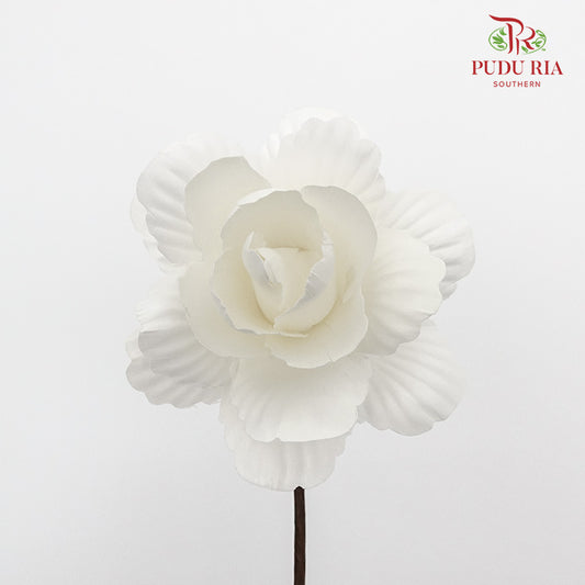 Dry Asia Peony - White - Pudu Ria Florist Southern