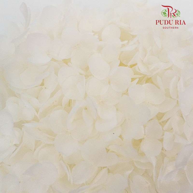 Preservative Hydrangea - White Small / Per Stem - Pudu Ria Florist Southern
