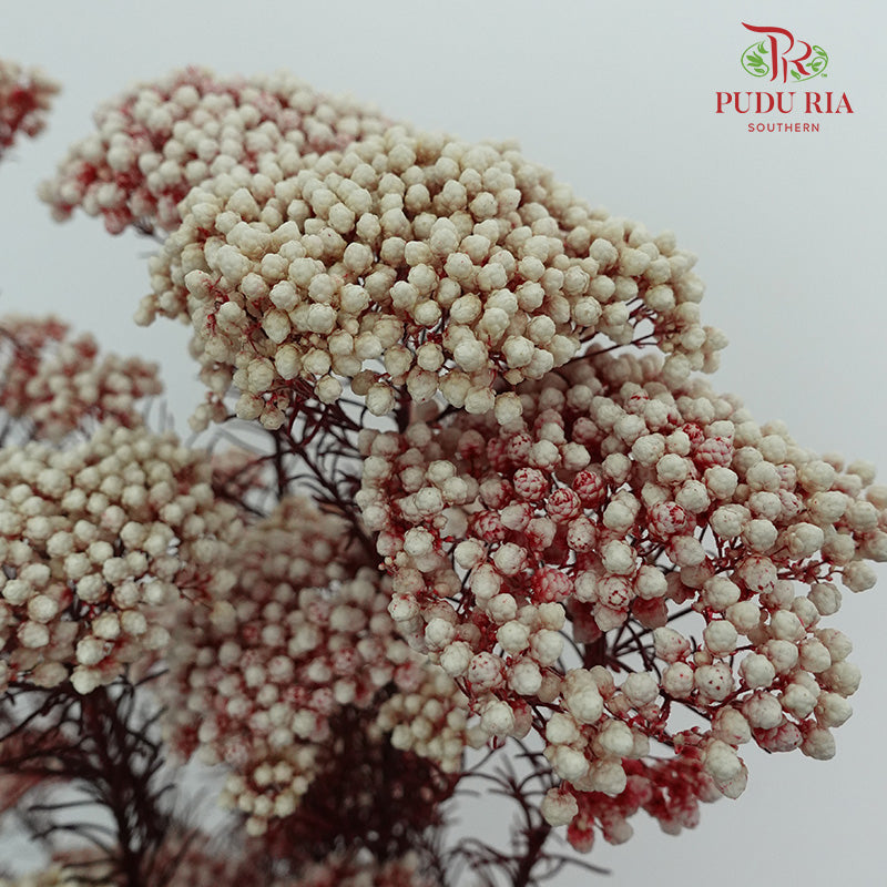 Preservative Rice Flower - White Red - Pudu Ria Florist Southern