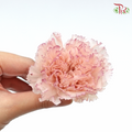 Preservative Carnation (8 Blooms) Nude/Purple - Pudu Ria Florist Southern