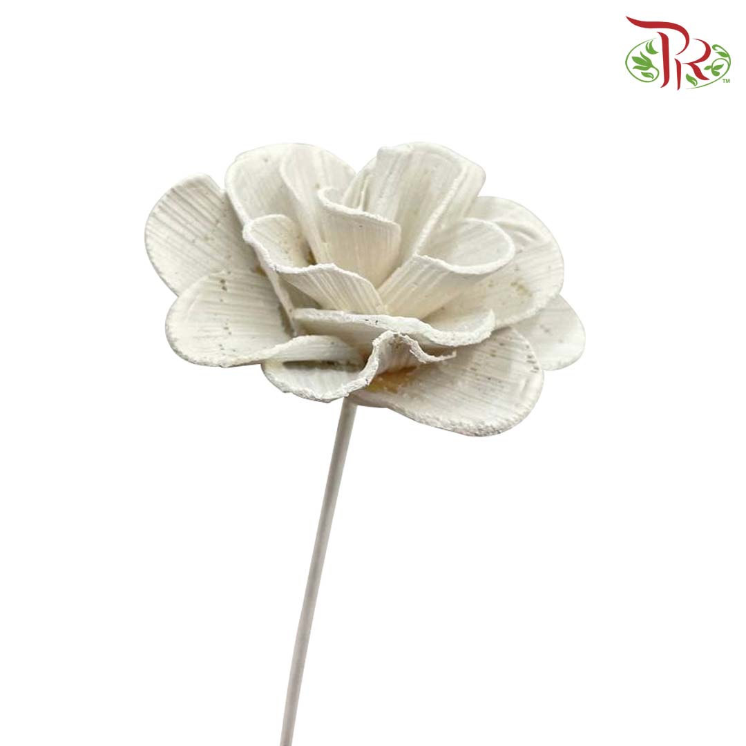 Dry Wood Rose - White - Offer Item