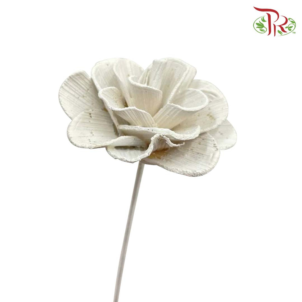 Dry Wood Rose - White - Offer Item - Pudu Ria Florist Southern