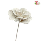 Dry Wood Rose - White - Offer Item - Pudu Ria Florist Southern