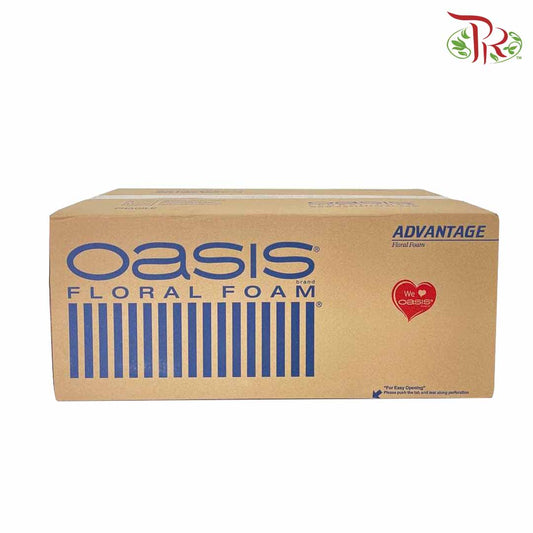 Oasis Advantage Floral Foam - Per Box