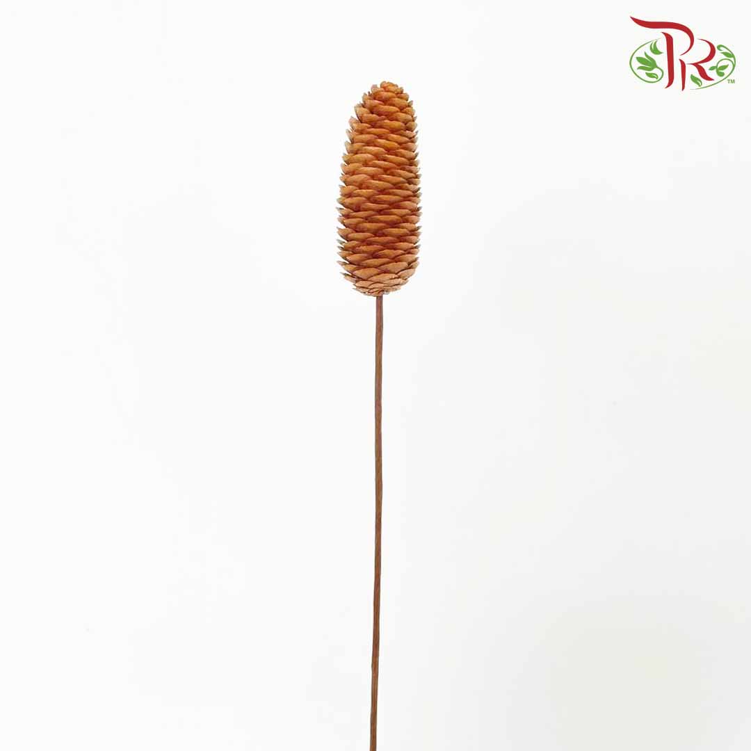Dry Pine Cone - Pudu Ria Florist Southern
