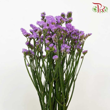 Statice Purple - Pudu Ria Florist Southern