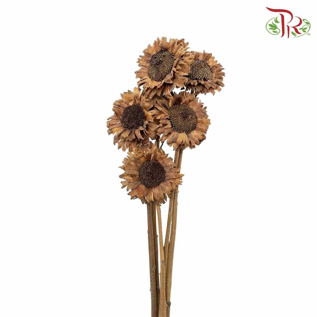 Dry Sunflower - Big - Pudu Ria Florist Southern