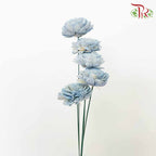 Dry Aeschynomene (Big) - Blue - Pudu Ria Florist Southern