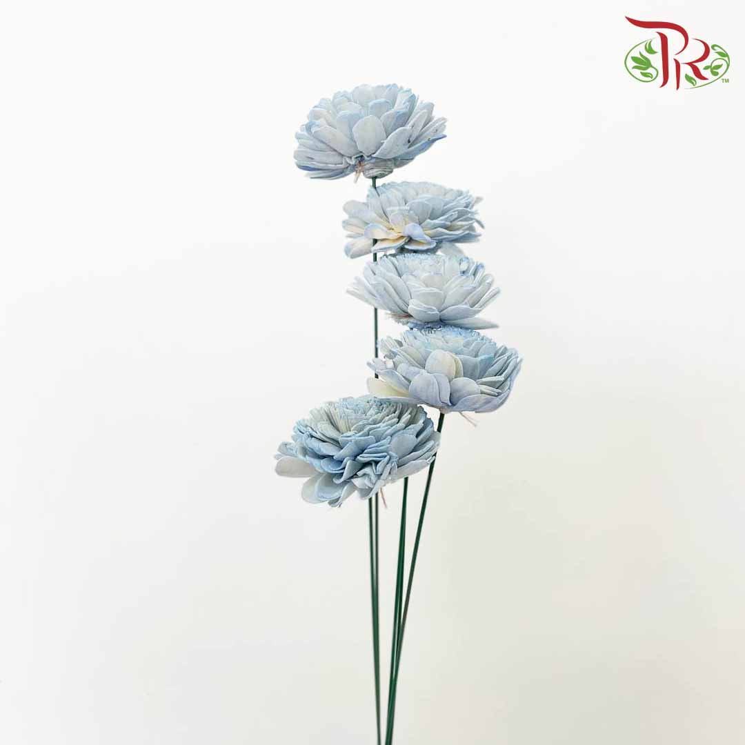Dry Aeschynomene (Big) - Blue - Pudu Ria Florist Southern