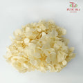 Preservative Hydrangea - Yellow - Pudu Ria Florist Southern