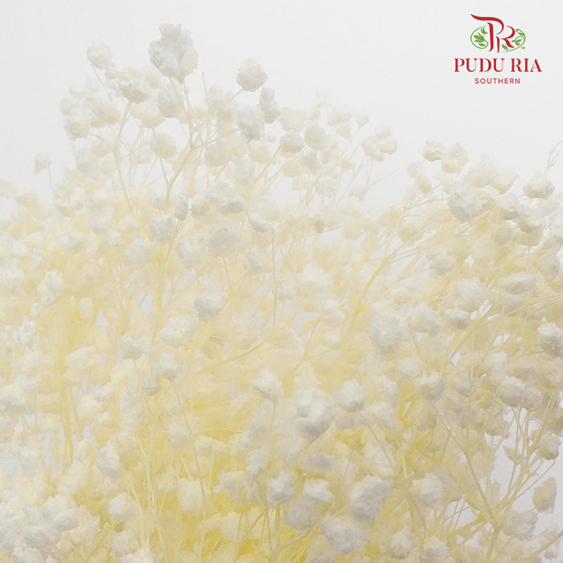 Preservative Baby Breath - White - Pudu Ria Florist Southern