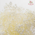 Preservative Baby Breath - White - Pudu Ria Florist Southern