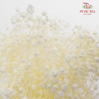 Preservative Baby Breath - White - Pudu Ria Florist Southern