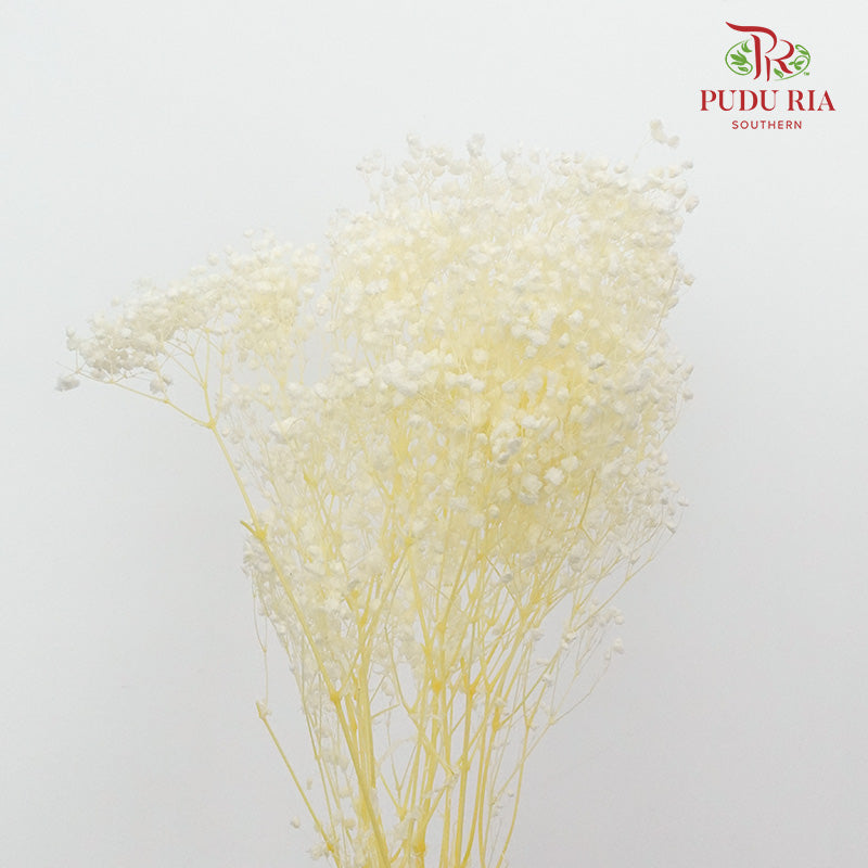 Preservative Baby Breath - White - Pudu Ria Florist Southern