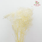 Preservative Baby Breath - White - Pudu Ria Florist Southern