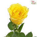 Rose Yellow (8-10 Stems) - Pudu Ria Florist Southern