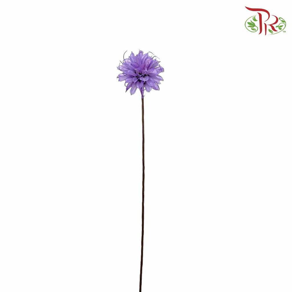 Dry Small Liju - Purple - Pudu Ria Florist Southern
