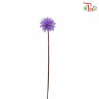 Dry Small Liju - Purple - Pudu Ria Florist Southern