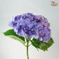 Hydrangea Purple / Per Stem