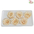 6 Bloom Preservative Rose - Cream - Pudu Ria Florist Southern