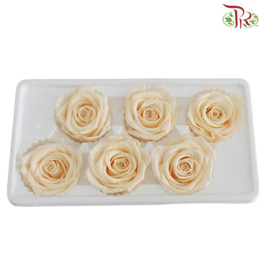 6 Bloom Preservative Rose - Cream - Pudu Ria Florist Southern