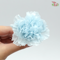 Preservative Carnation (8 Blooms) Blue - Pudu Ria Florist Southern