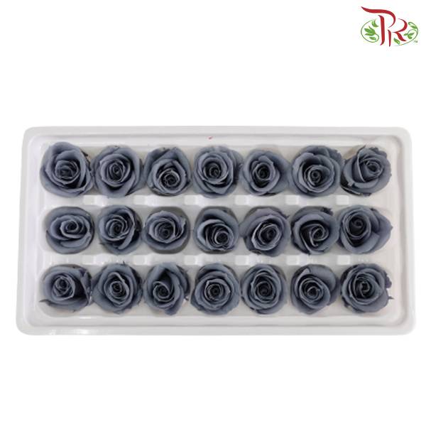 21 Bloom Preservative Rose - Slate Blue - Pudu Ria Florist Southern