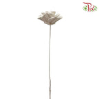 Dry Wood Rose - White - Offer Item - Pudu Ria Florist Southern