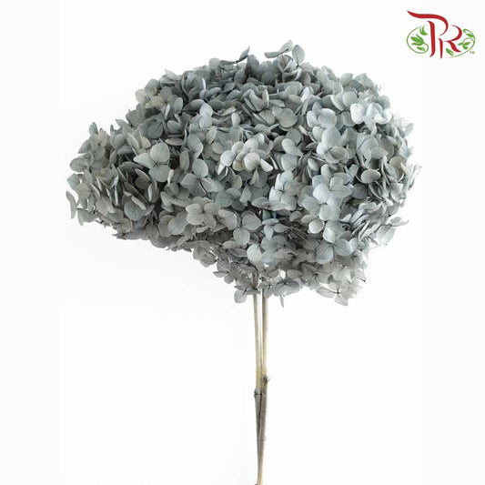 Preservative Hydrangea - Grey / Per Stem - Pudu Ria Florist Southern