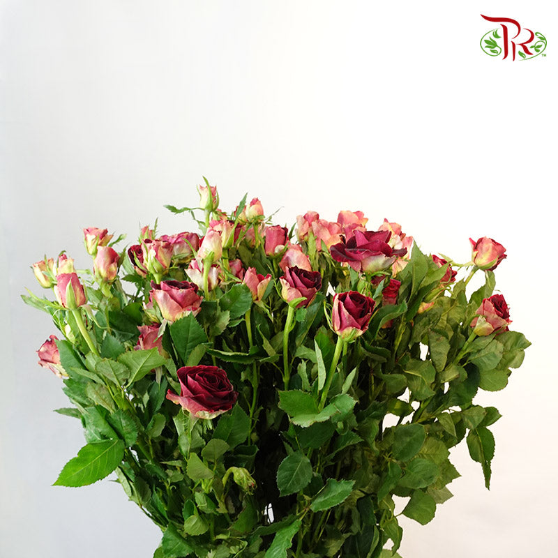 Rose Spray Pretty (8-10 Stems) - Pudu Ria Florist Southern