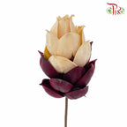 Dry Phoenix Tree Bud - White/Maroon - Offer Item - Pudu Ria Florist Southern