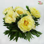 Peony Yellow (5 stems) - Pudu Ria Florist Southern