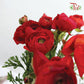 Ranunculus Red (8 - 10 Stems)