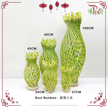 Guci Bamboo (猪笼入水) - 35CM (H) - Pudu Ria Florist Southern
