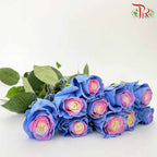 Rose Mondial Dyed Cotton Candy (8-10 Stems) - Pudu Ria Florist Southern