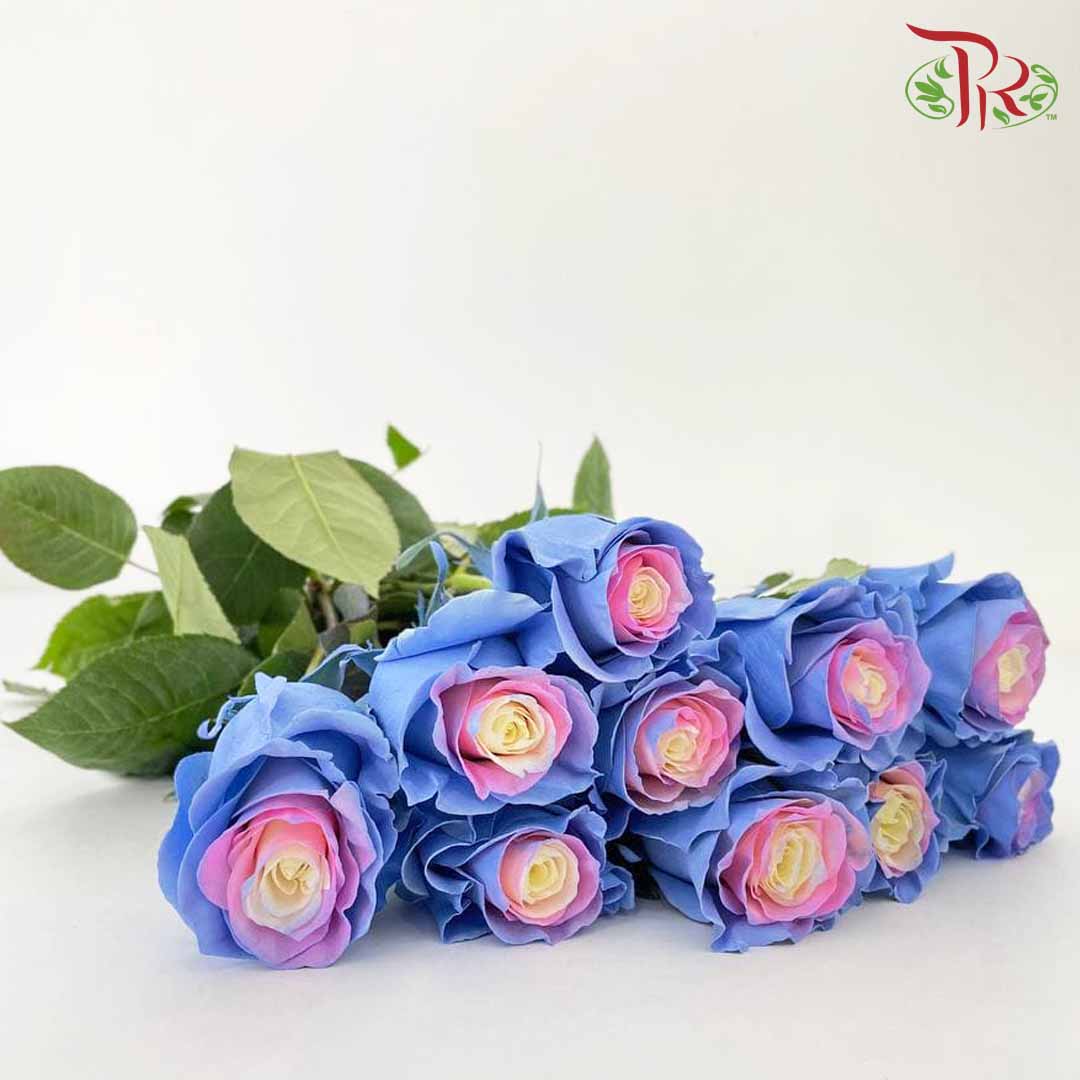 Rose Mondial Dyed Cotton Candy (8-10 Stems) - Pudu Ria Florist Southern