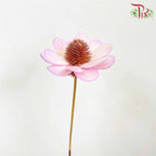 Dry Stella Luna - Purple - Pudu Ria Florist Southern