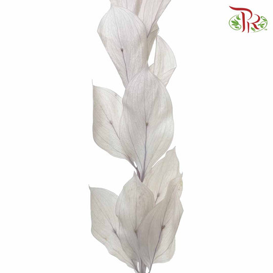 Dry Orange Leaf - White - Pudu Ria Florist Southern