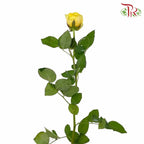 Rose Yellow (8-10 Stems) - Pudu Ria Florist Southern