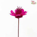 Dry Stella Luna - Cherry Pink - Pudu Ria Florist Southern