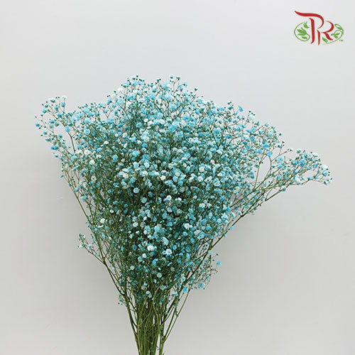 Baby's Breath Light Blue (8-10 Stems) - Pudu Ria Florist Southern