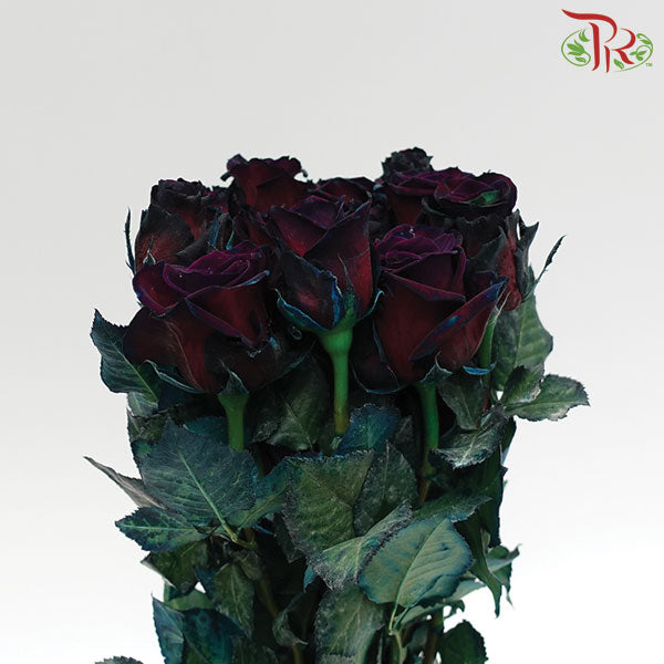 Rose Black (19-20 Stems) - Pudu Ria Florist Southern