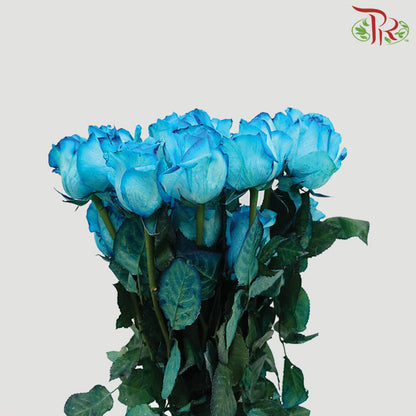 Rose Blue (19-20 Stems) - Pudu Ria Florist Southern