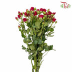 Rose Spray Red (8-10 Stems) - Pudu Ria Florist Southern