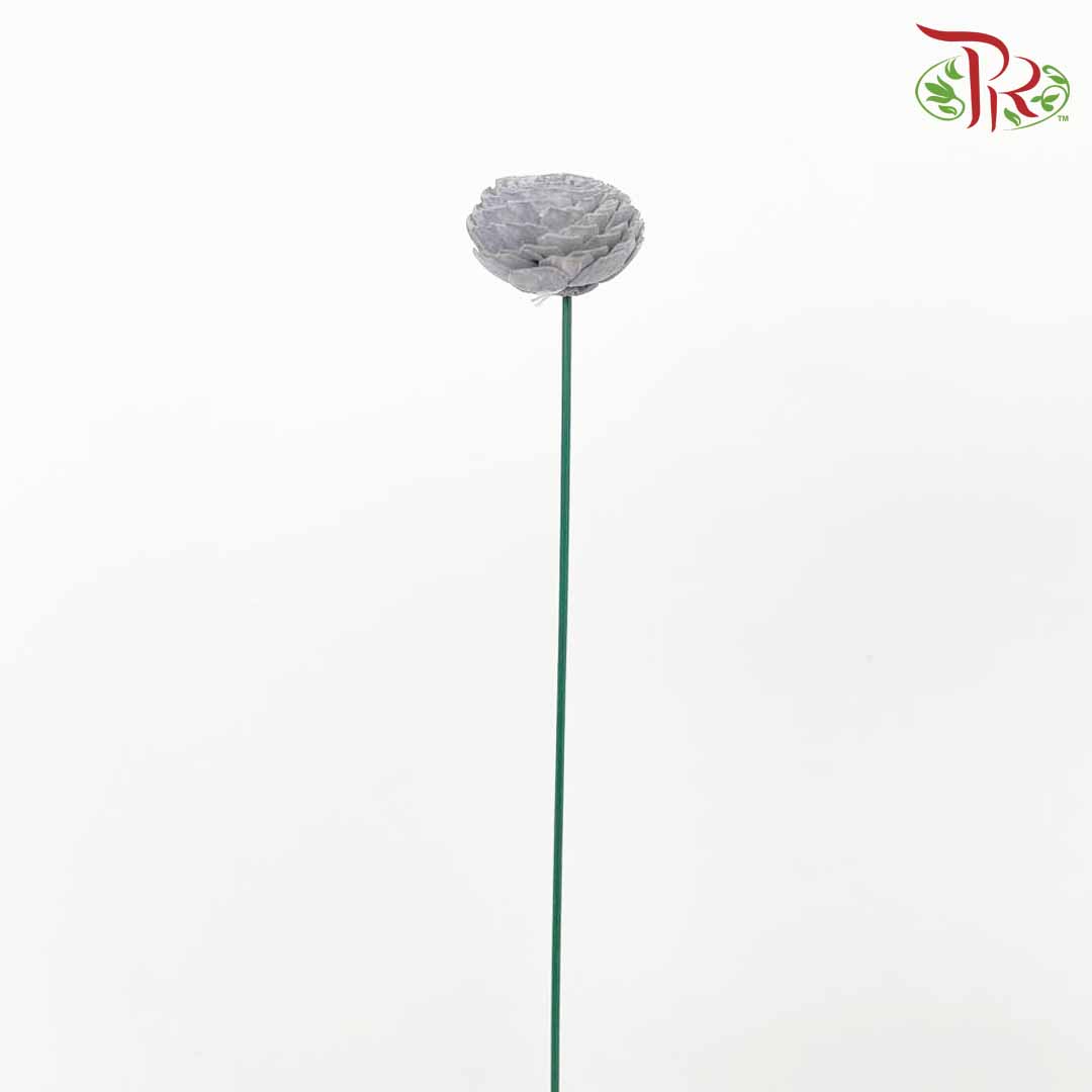 Dry Aeschynomene Aspera - Grey - Pudu Ria Florist Southern