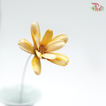 Preservative Petite Flower - Orange - Pudu Ria Florist Southern