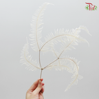 Preservative Mountain Fern (XL) - Pudu Ria Florist Southern