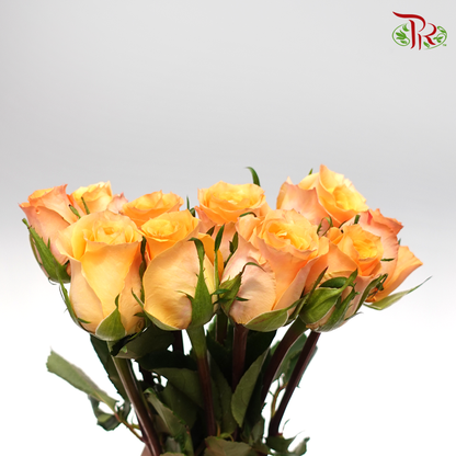 Rose Queen's Day (8-10 Stems) - Pudu Ria Florist Southern