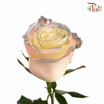 Rose Sky Pearl (8-10 Stems) - Pudu Ria Florist Southern